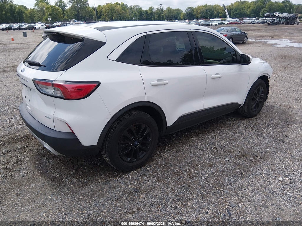 2020 Ford Escape SE photo 4
