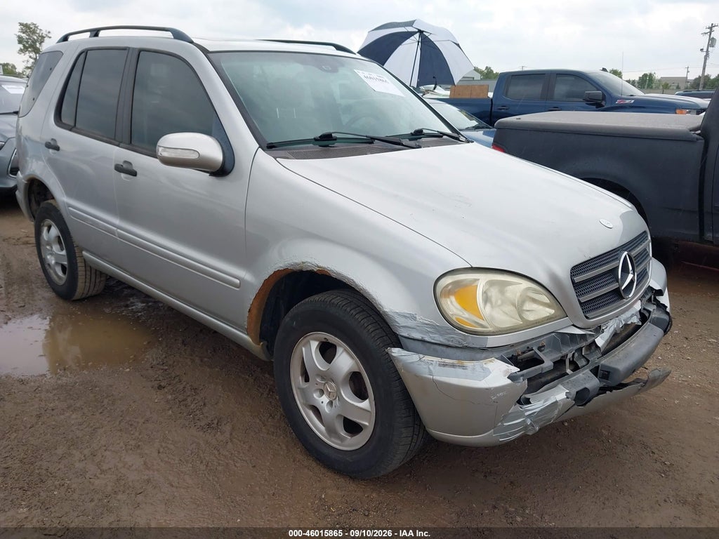 2002 Mercedes-Benz ML 320 photo 1