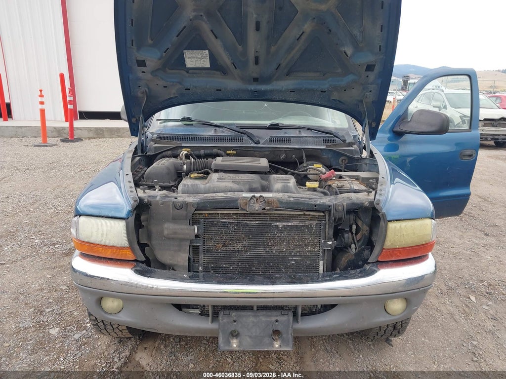 2003 Dodge Dakota Sport/SXT photo 10