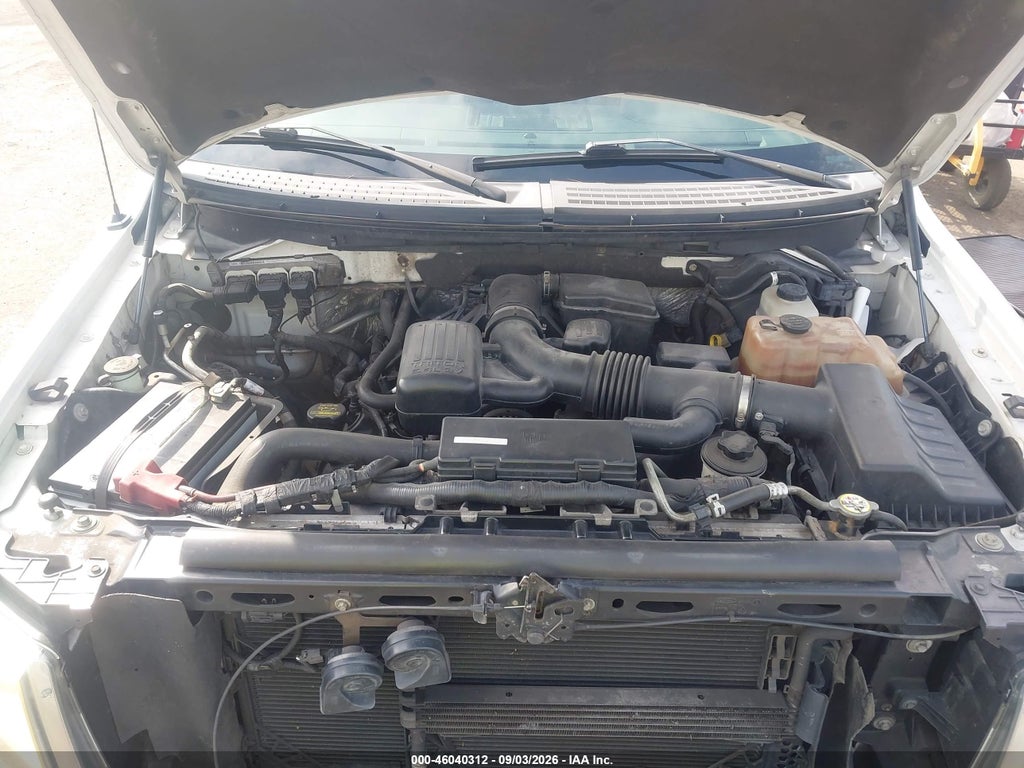 2010 Ford F-150 FX4/Harley-Davidson/King Ranch/Lariat/Platinum/XL/XLT photo 10