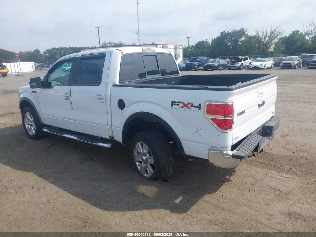 2010 Ford F-150 FX4/Harley-Davidson/King Ranch/Lariat/Platinum/XL/XLT photo 3