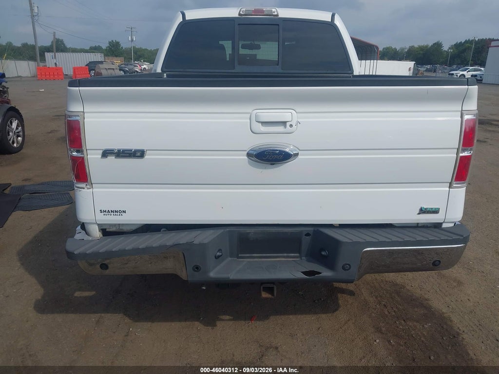 2010 Ford F-150 FX4/Harley-Davidson/King Ranch/Lariat/Platinum/XL/XLT photo 6