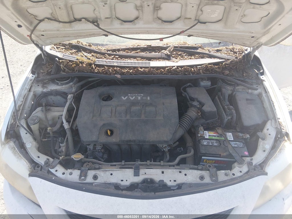 2009 Toyota Corolla LE photo 10