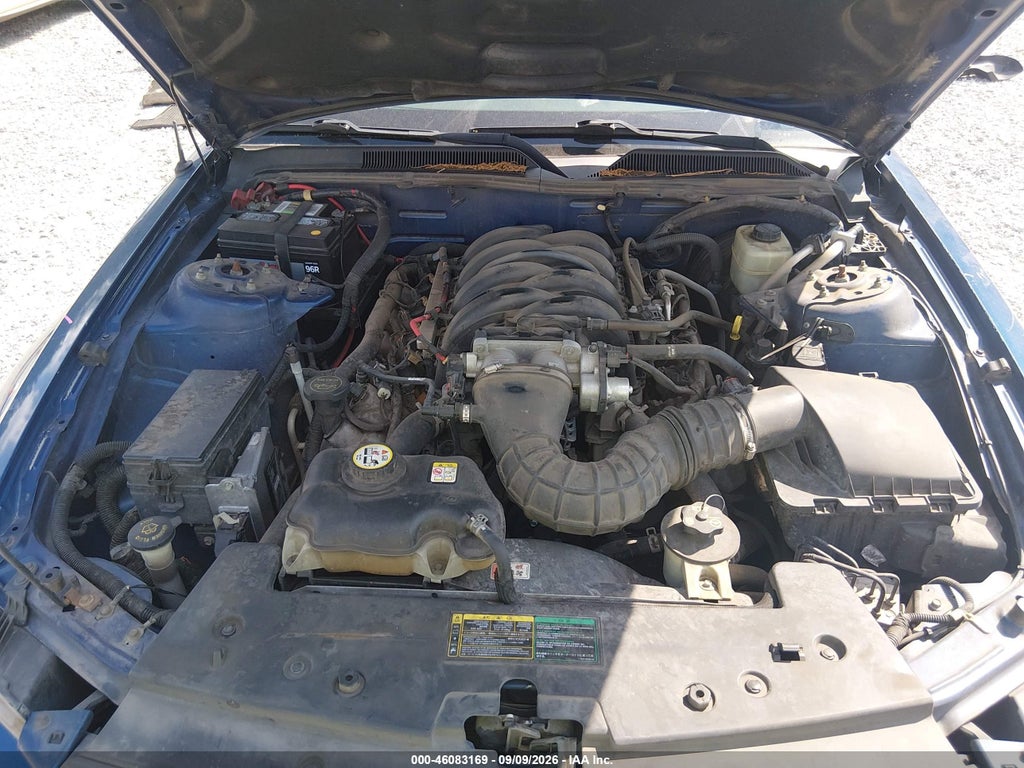 2006 Ford Mustang GT photo 10