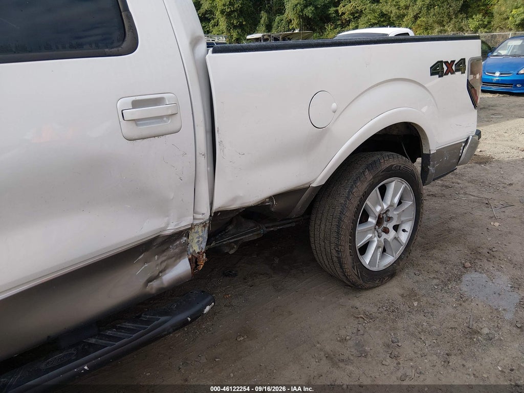 2010 Ford F-150 FX4/Harley-Davidson/King Ranch/Lariat/Platinum/XL/XLT photo 6