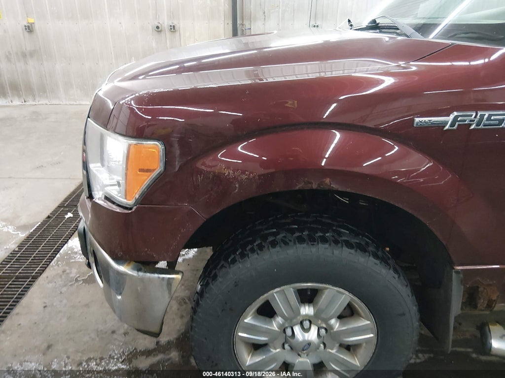 2010 Ford F-150 FX4/Lariat/XL/XLT photo 6