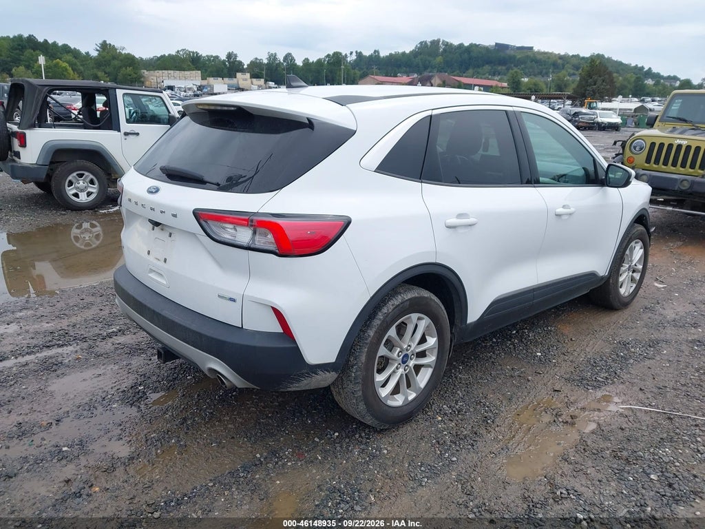 2020 Ford Escape SE photo 4