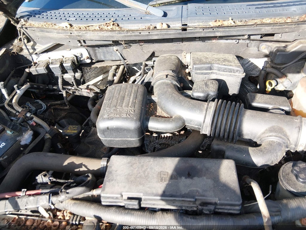 2010 Ford F-150 FX4/Lariat/XL/XLT photo 10