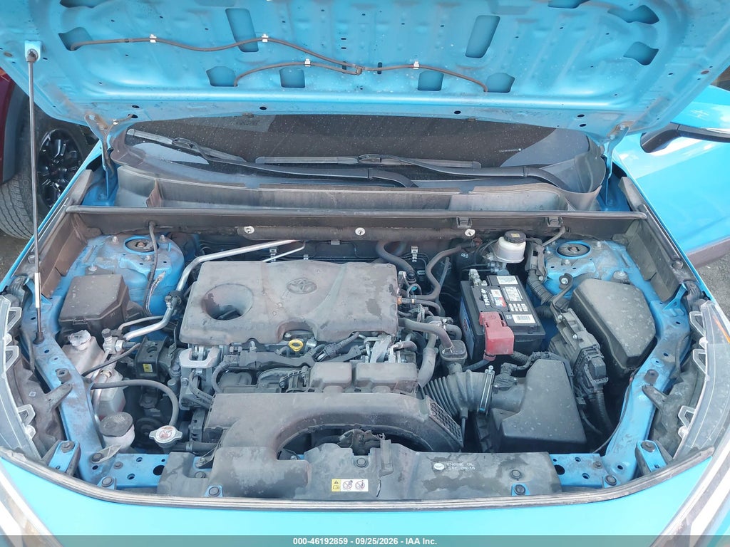 2019 Toyota RAV4 XLE photo 10