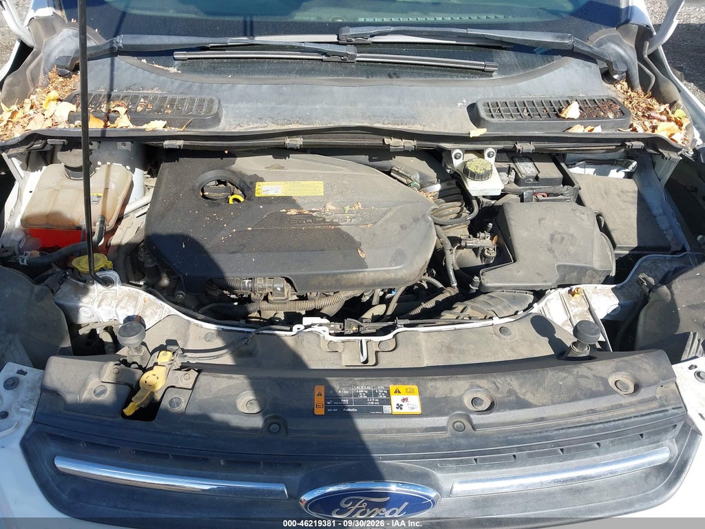 2013 Ford Escape SE photo 10
