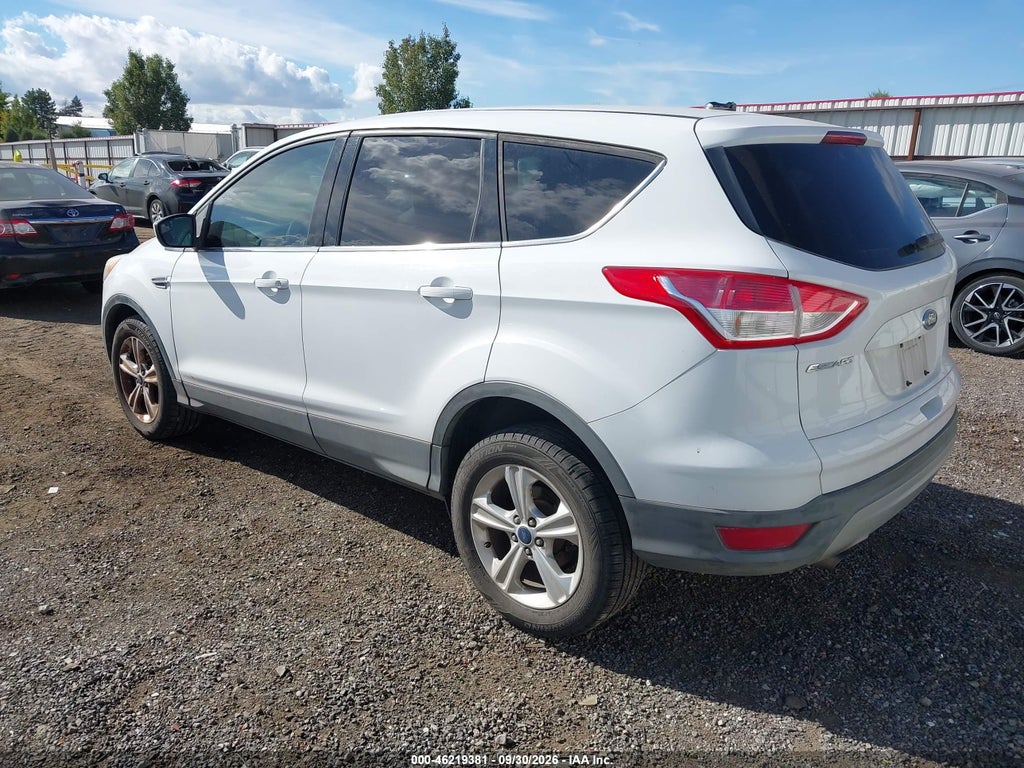 2013 Ford Escape SE photo 3