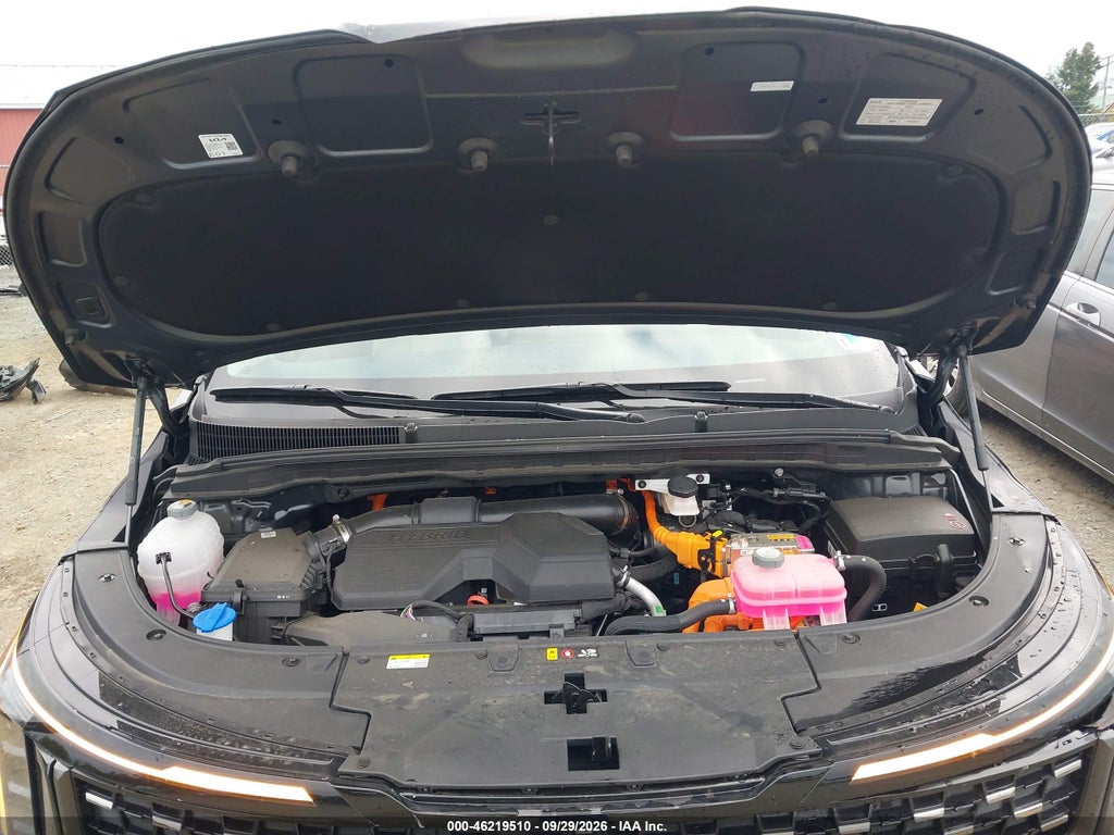 2026 Kia Carnival MPV Hybrid SX photo 10