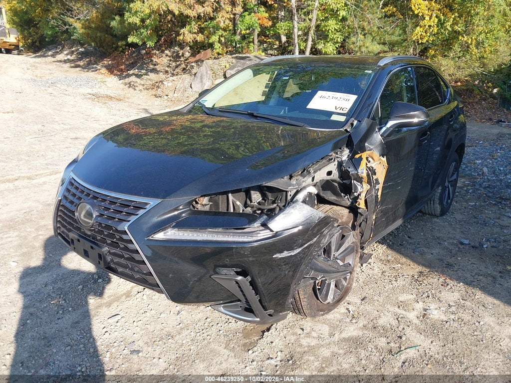 2020 Lexus NX 300 photo 2