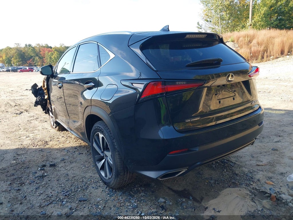 2020 Lexus NX 300 photo 3