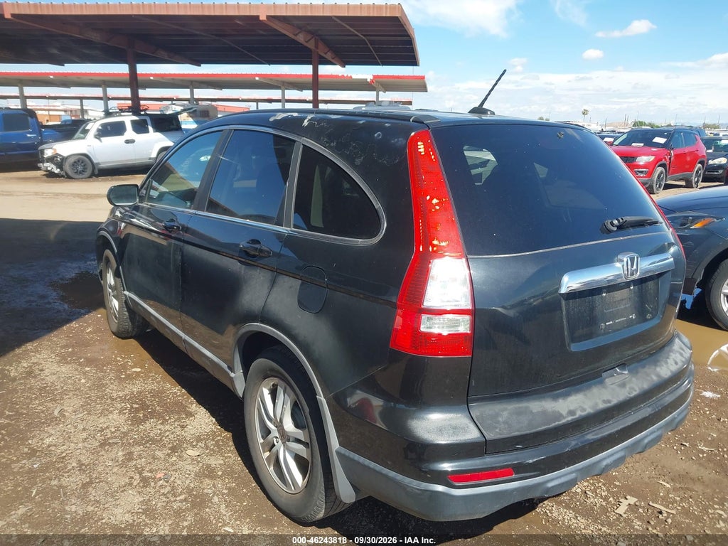 2010 Honda CR-V EX-L photo 3