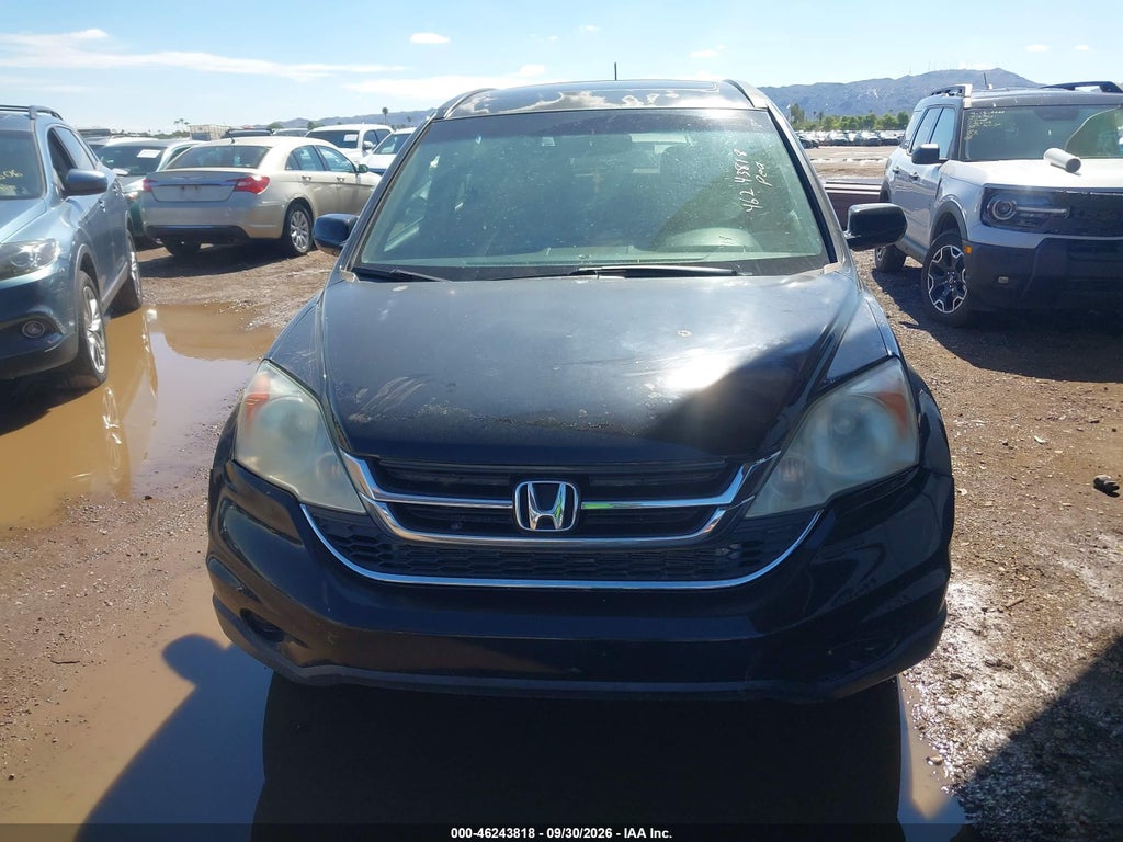 2010 Honda CR-V EX-L photo 6