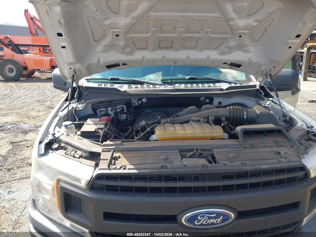 2019 Ford F-150 XL photo 10