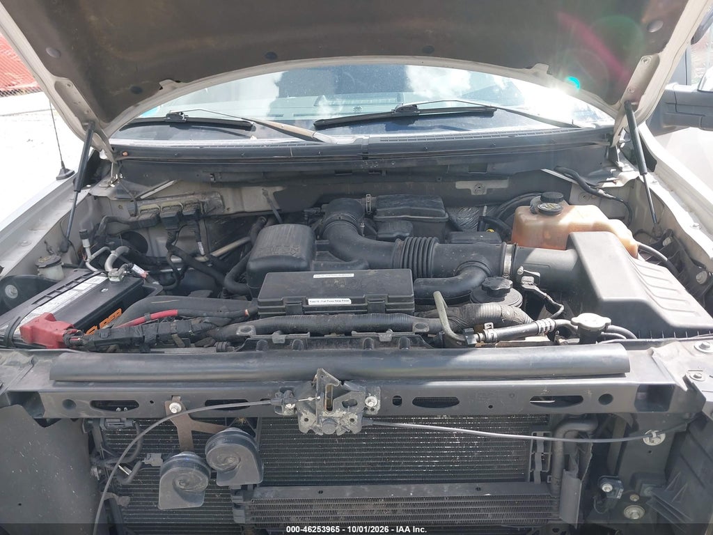 2010 Ford F-150 FX2 Sport/Harley-Davidson/King Ranch/Lariat/Platinum/XL/XLT photo 10