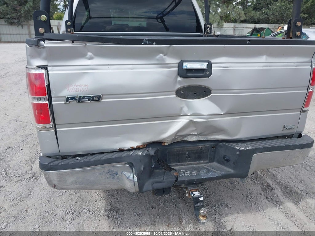 2010 Ford F-150 FX2 Sport/Harley-Davidson/King Ranch/Lariat/Platinum/XL/XLT photo 6