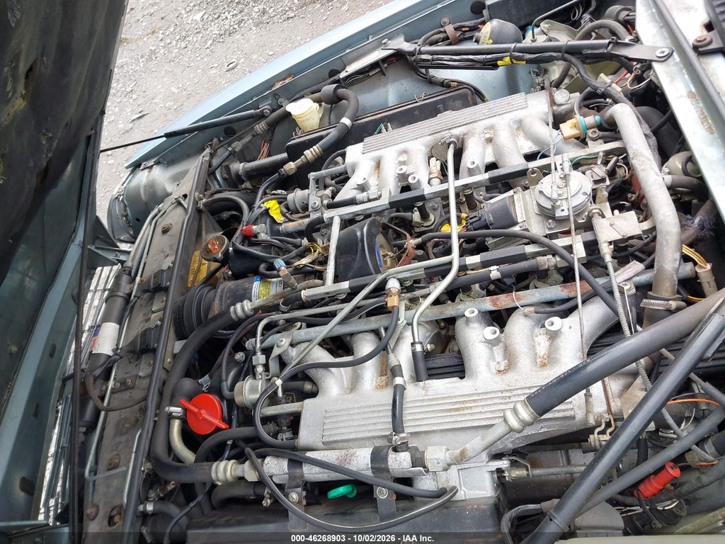 1990 Jaguar XJS photo 10