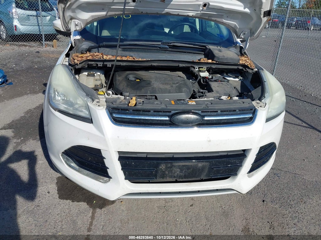 2013 Ford Escape SEL photo 6