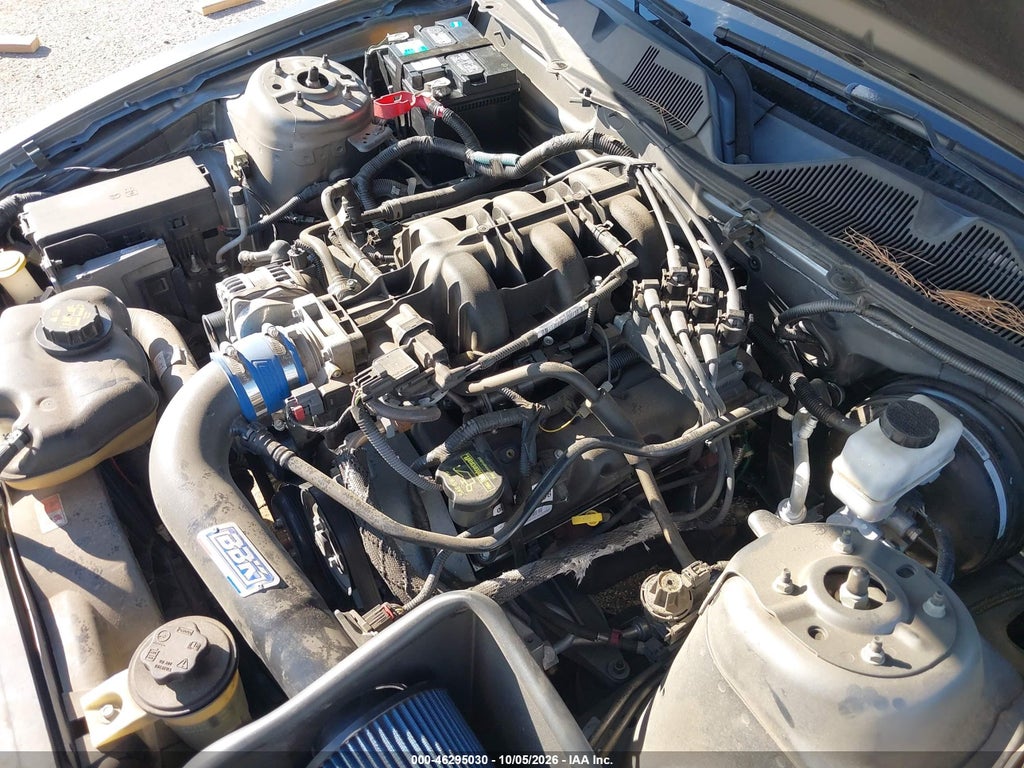 2010 Ford Mustang V6/V6 Premium photo 6
