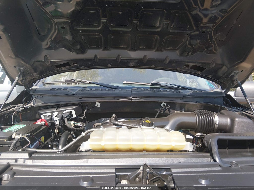 2019 Ford F-150 XL photo 10