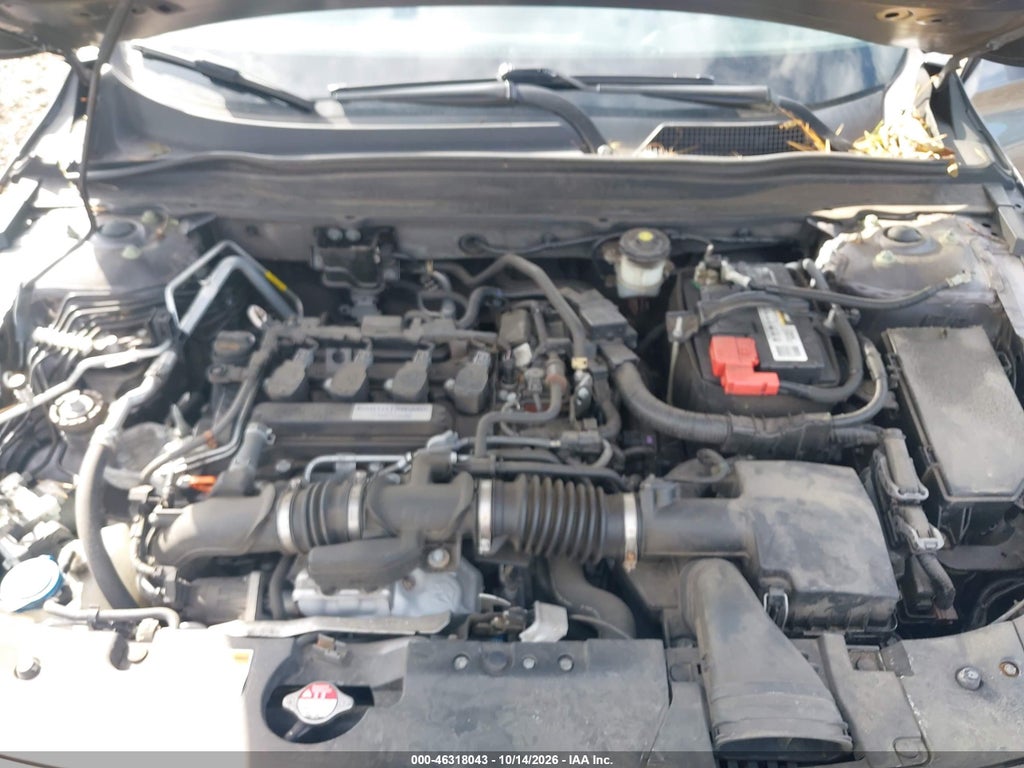 2020 Honda Accord EX-L photo 10