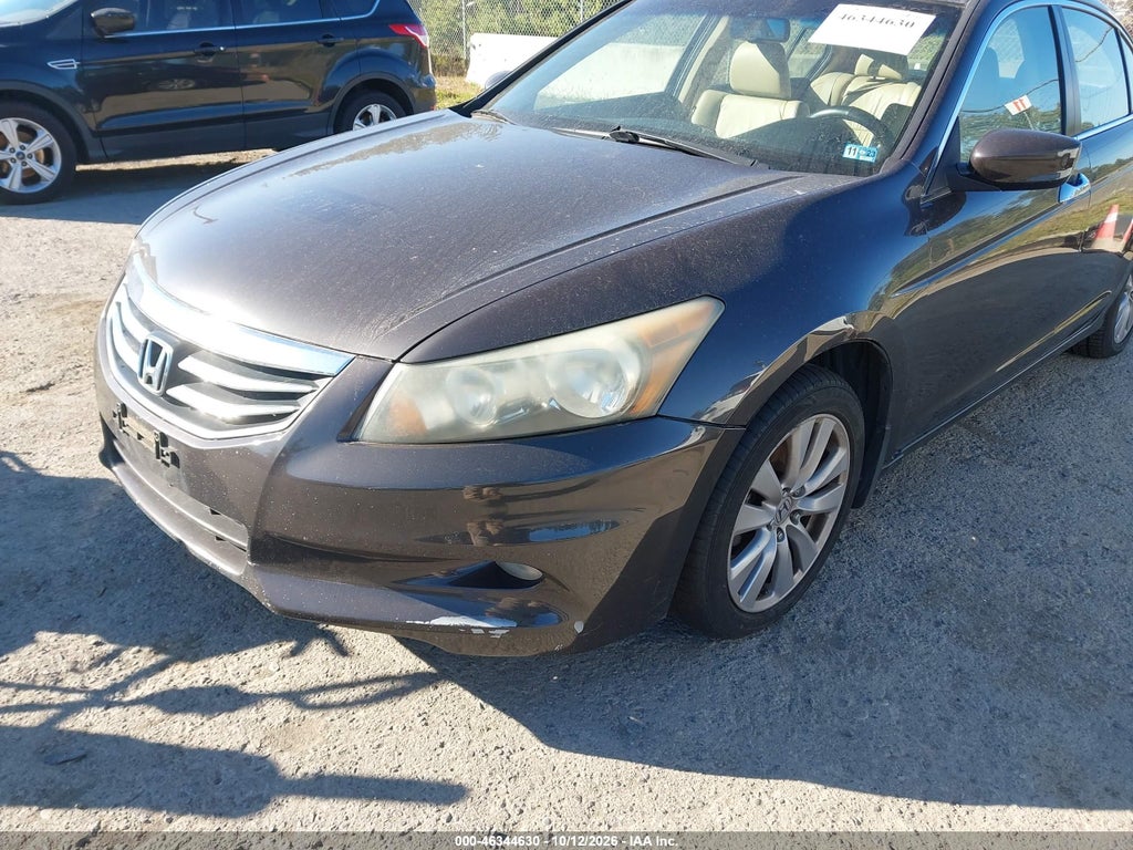 2011 Honda Accord 3.5 EX-L photo 6