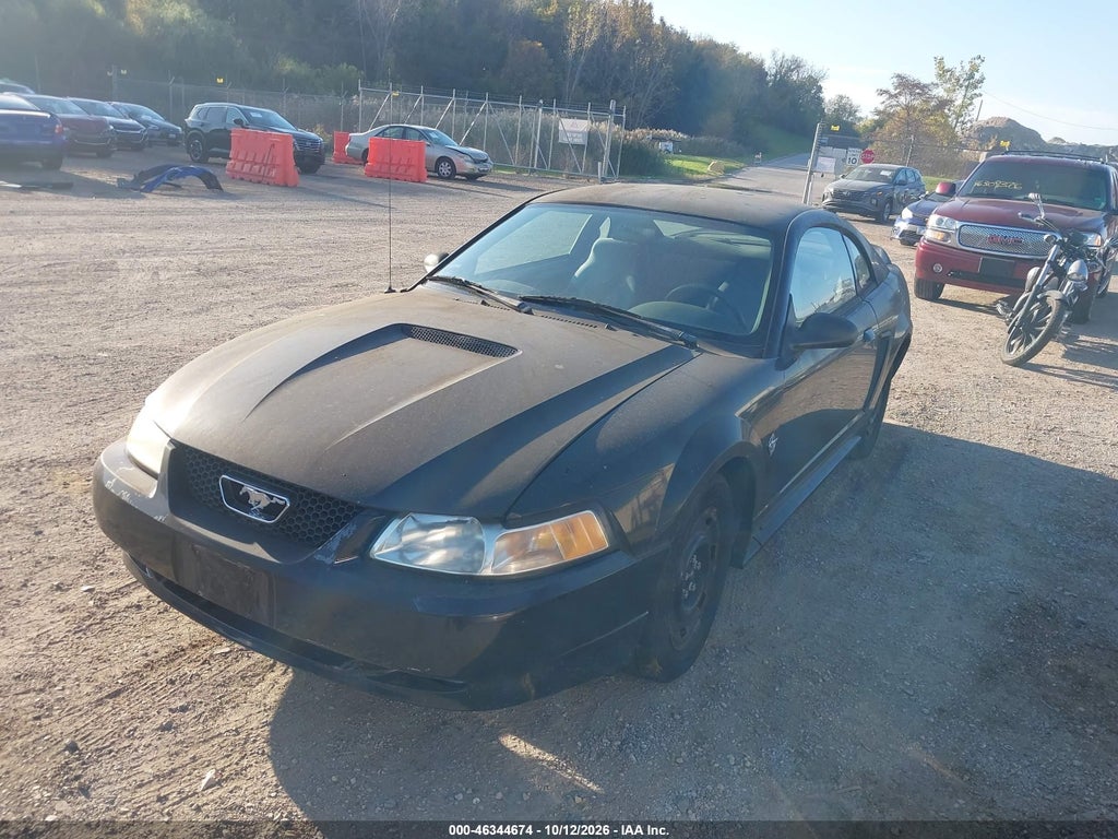 1999 Ford Mustang GT photo 2