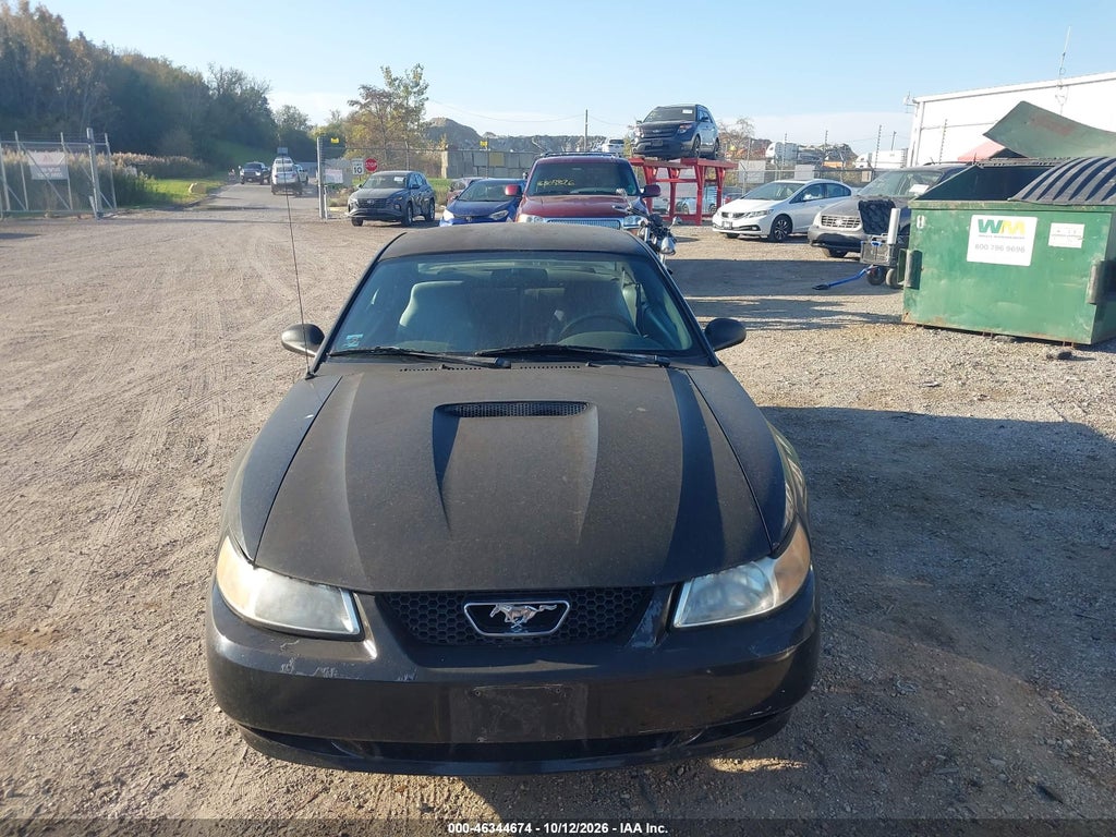 1999 Ford Mustang GT photo 6