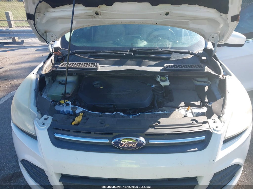 2014 Ford Escape SE photo 10