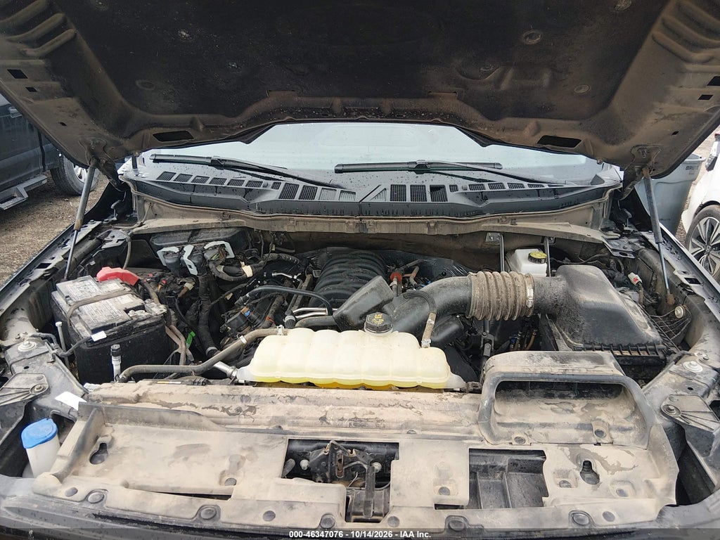 2025 Ford F-150 XLT photo 10