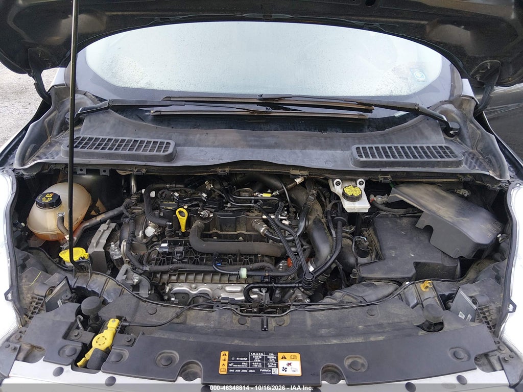 2019 Ford Escape SEL photo 10