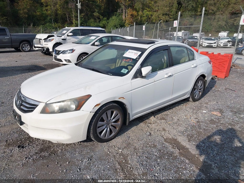 2011 Honda Accord 2.4 EX-L photo 2