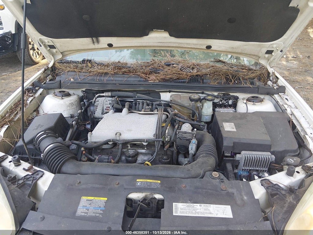 2004 Chevrolet Malibu Maxx LT photo 10