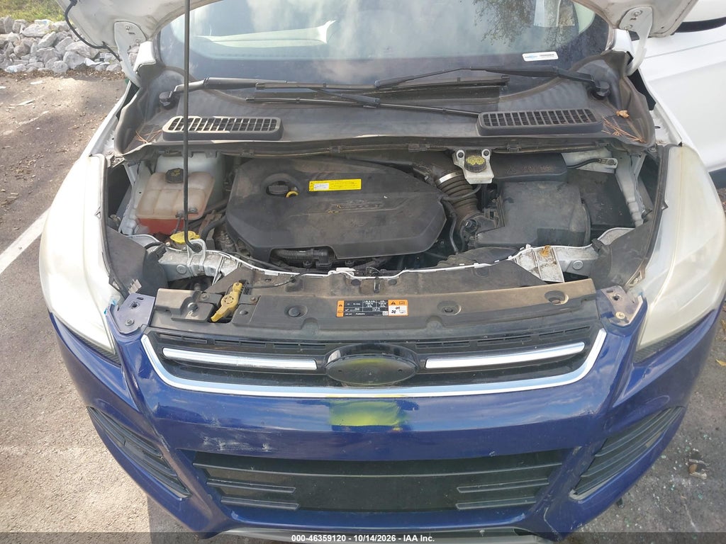 2015 Ford Escape SE photo 10