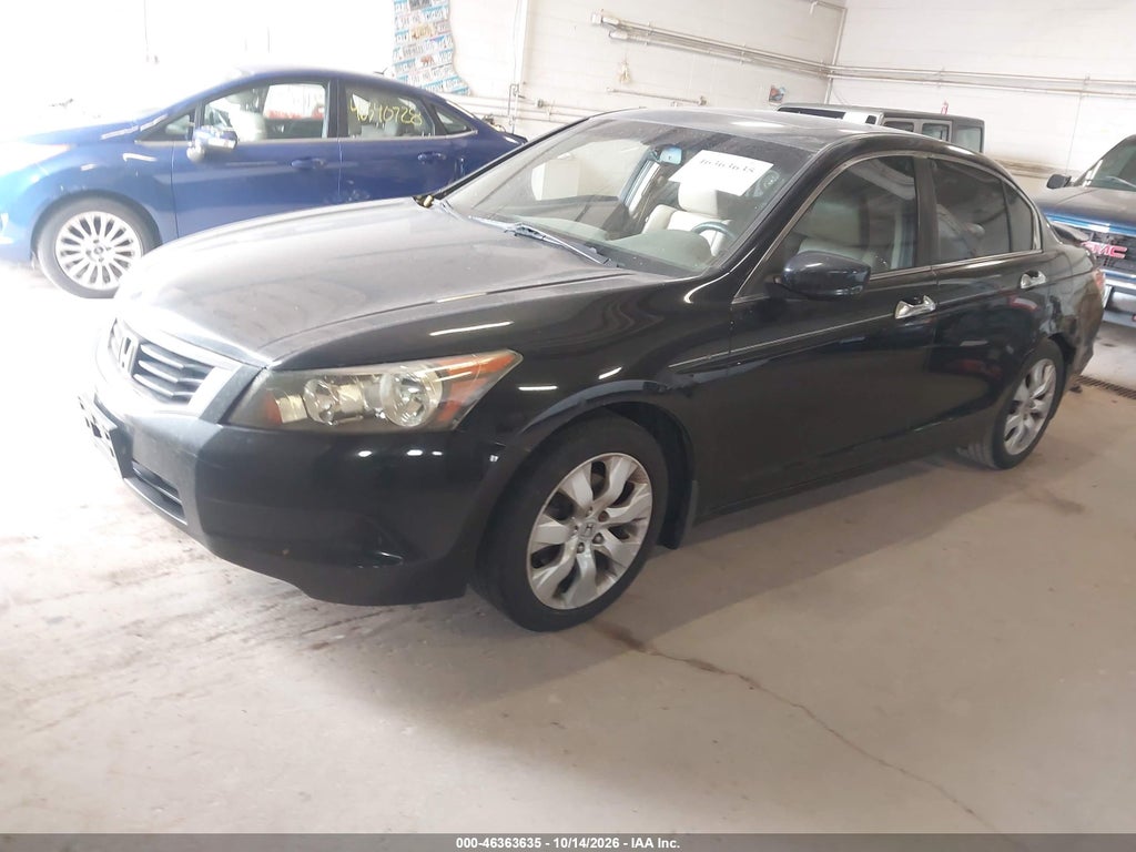 2010 Honda Accord 2.4 EX-L photo 2