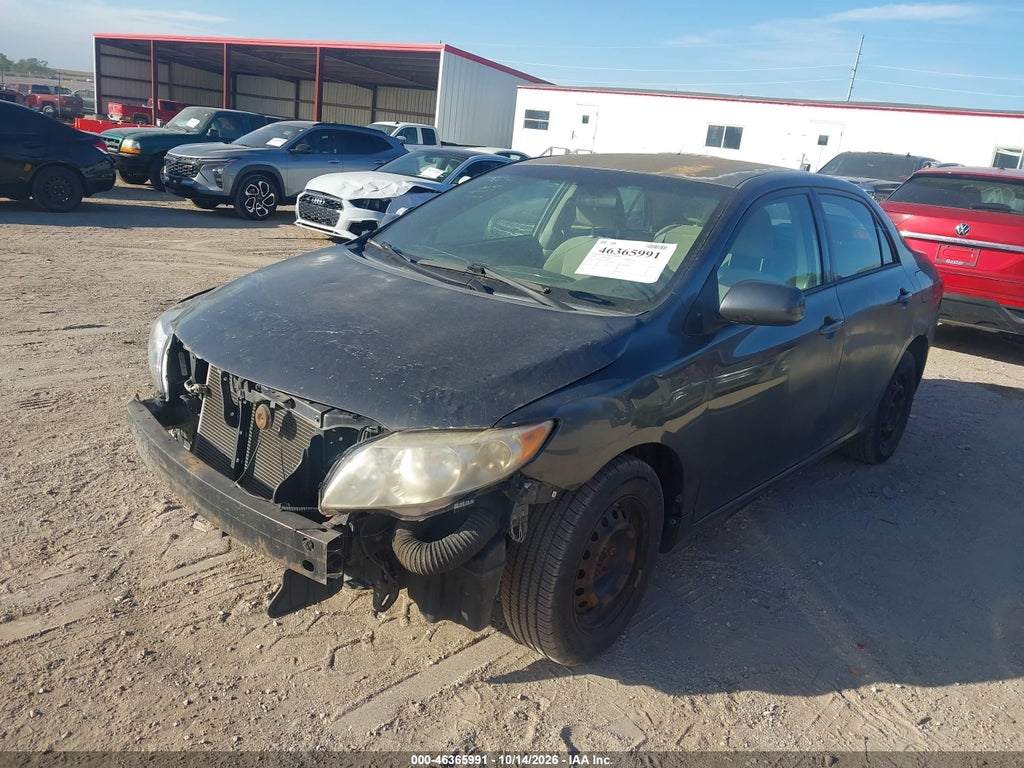 2010 Toyota Corolla LE photo 2