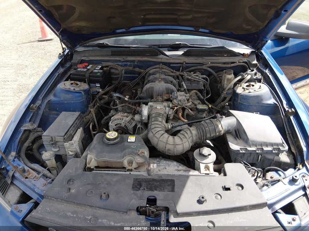 2009 Ford Mustang V6/V6 Premium photo 10