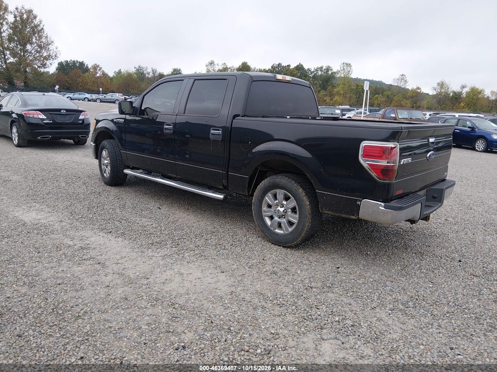2010 Ford F-150 FX4/Harley-Davidson/King Ranch/Lariat/Platinum/XL/XLT photo 3