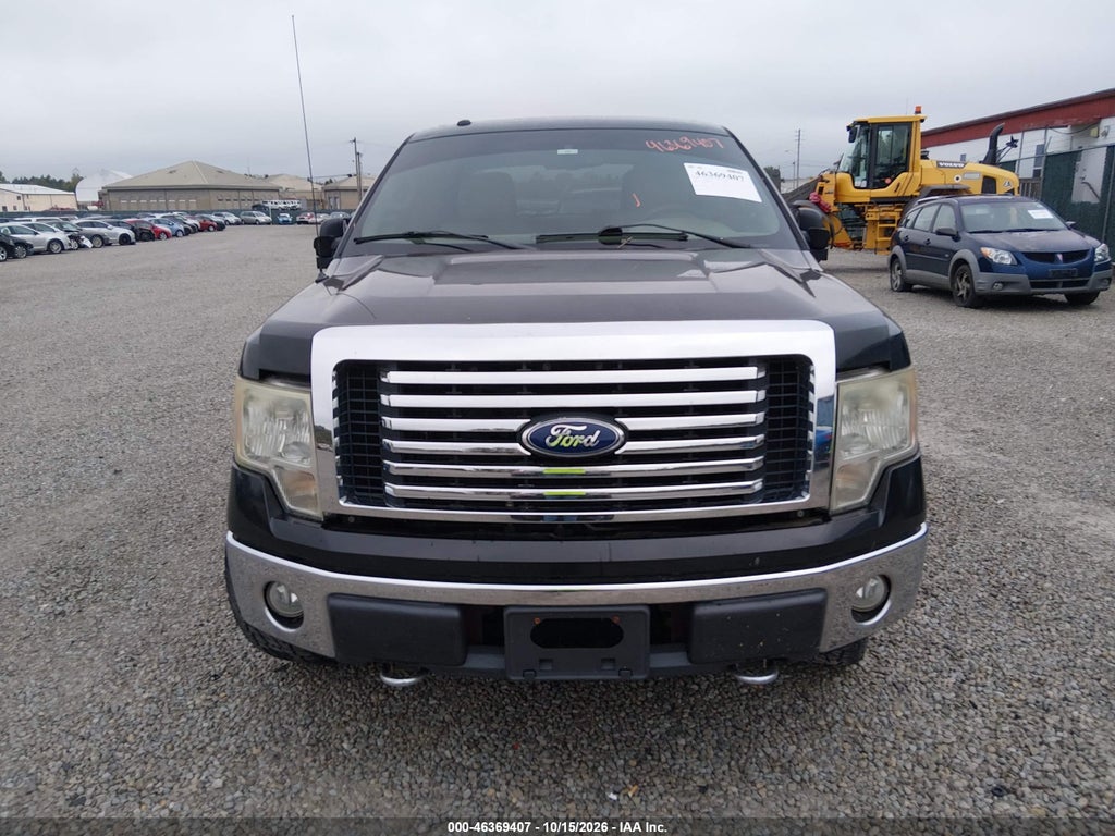 2010 Ford F-150 FX4/Harley-Davidson/King Ranch/Lariat/Platinum/XL/XLT photo 6