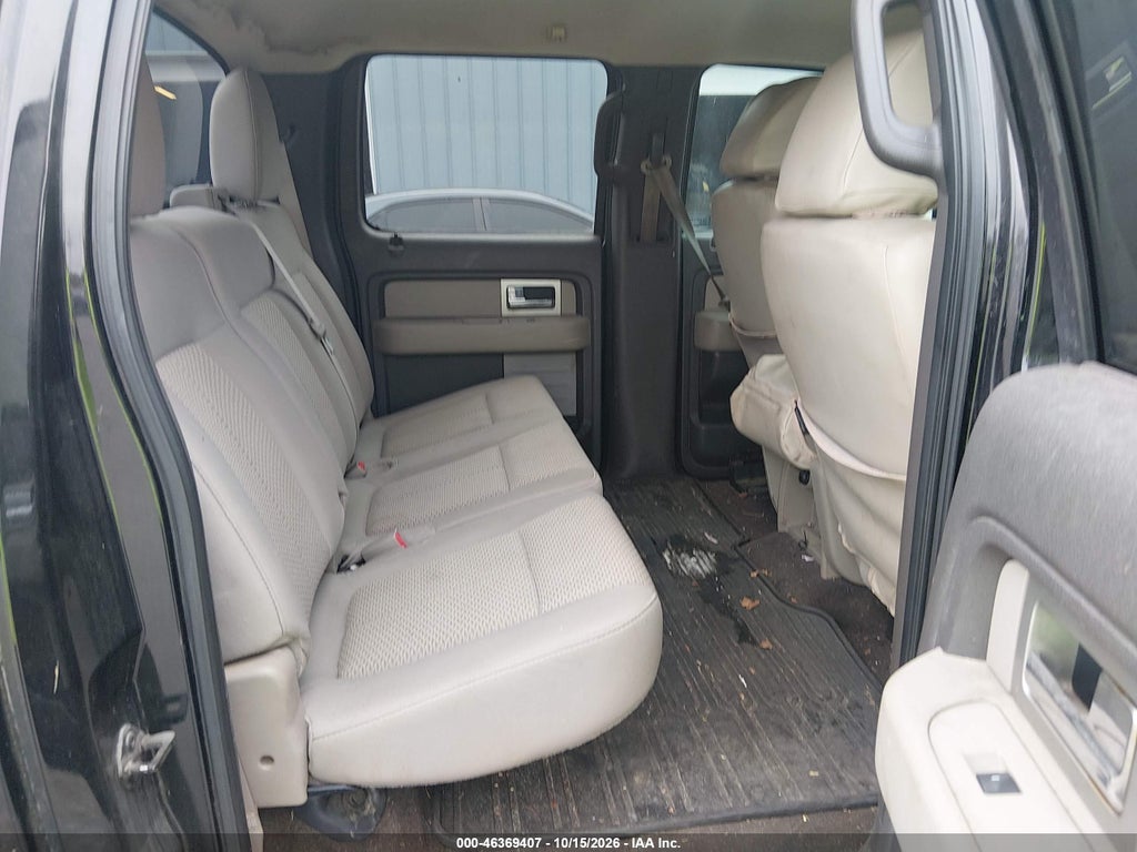 2010 Ford F-150 FX4/Harley-Davidson/King Ranch/Lariat/Platinum/XL/XLT photo 8