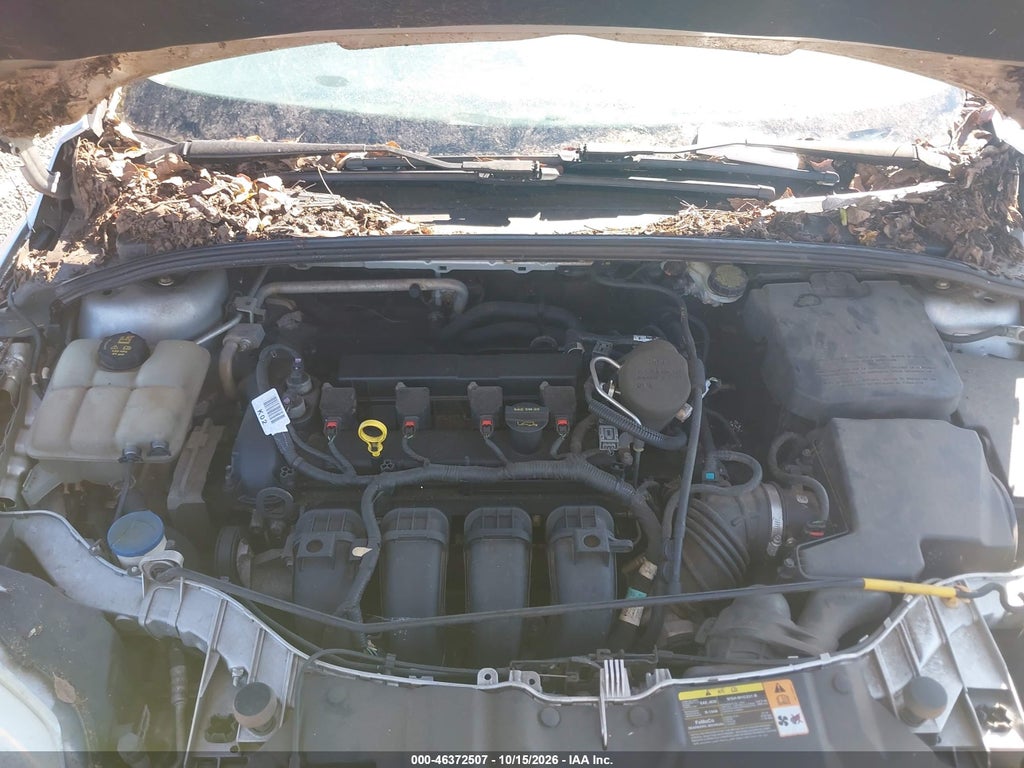 2014 Ford Focus SE photo 10