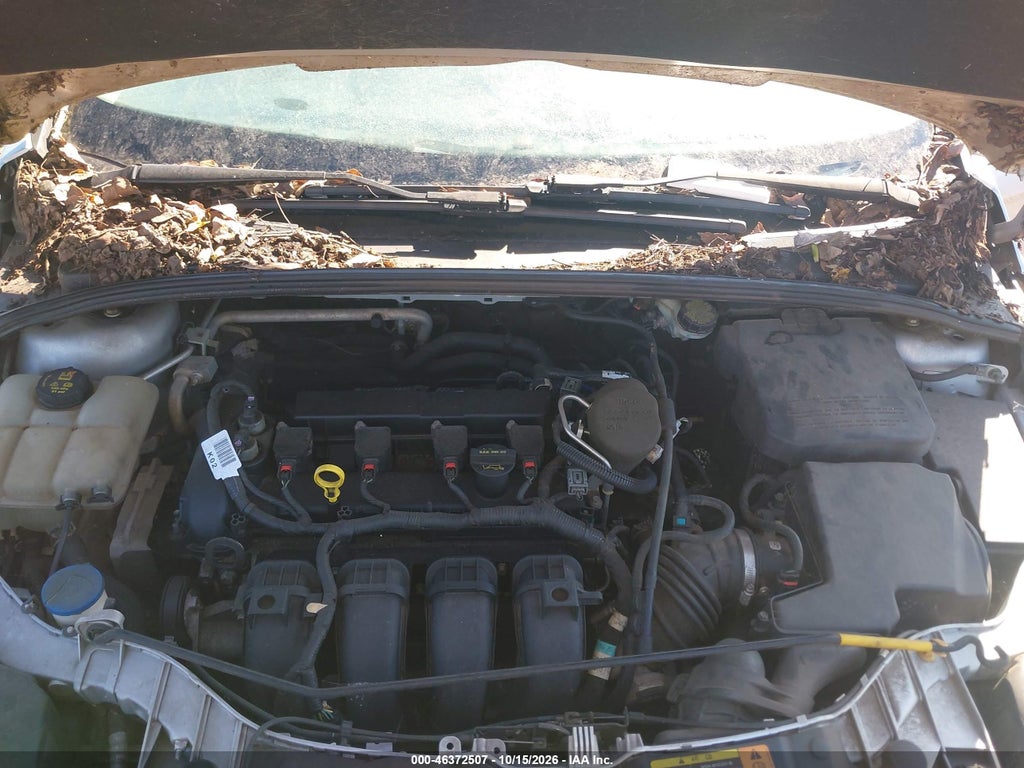 2014 Ford Focus SE photo 6