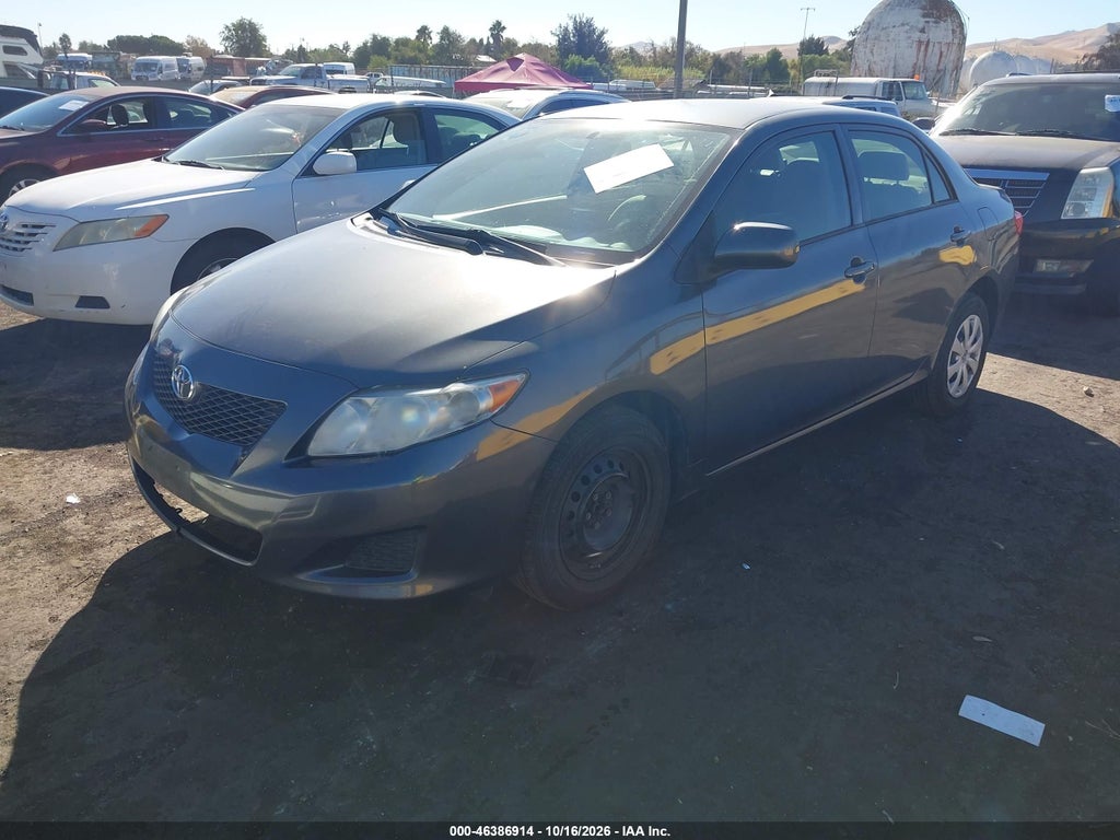 2010 Toyota Corolla LE photo 2