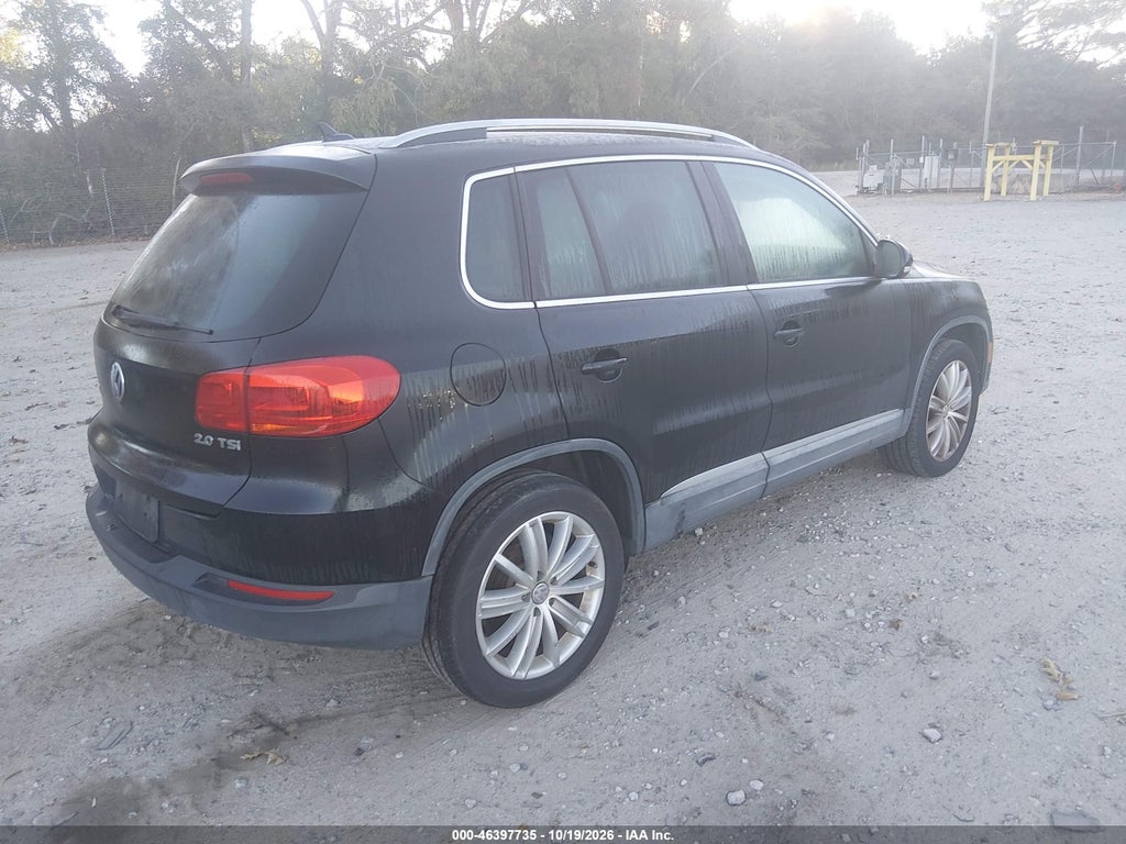 2013 Volkswagen Tiguan SE photo 4
