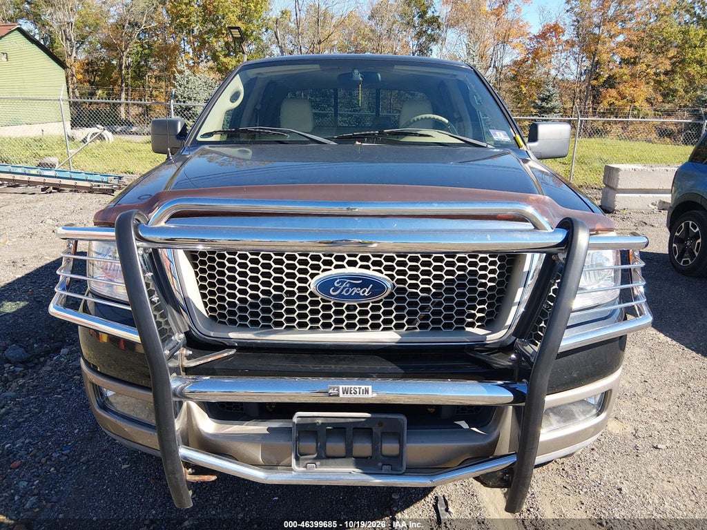 2004 Ford F-150 FX4/Lariat/XLT photo 6