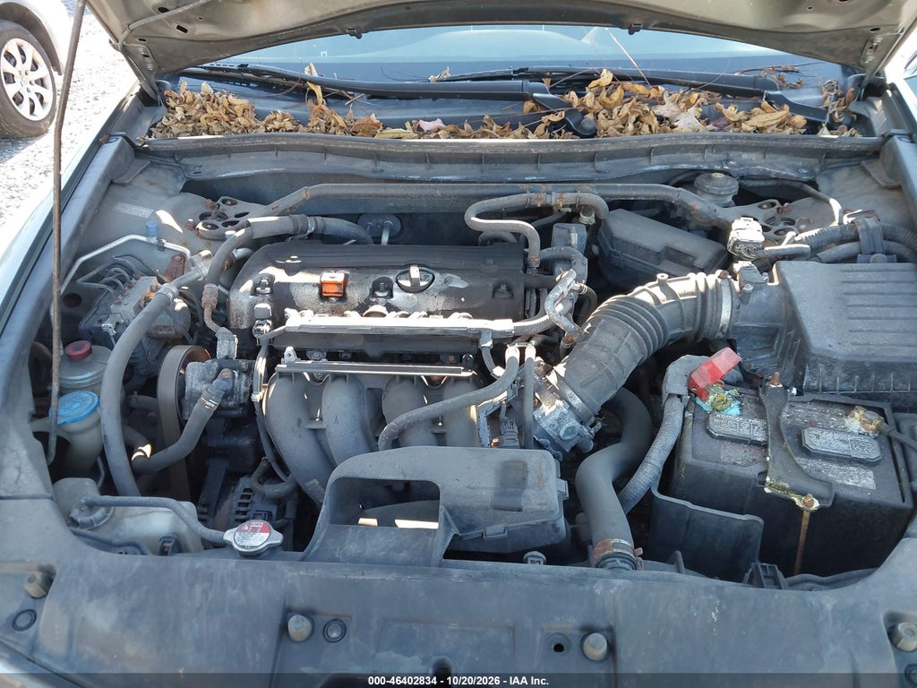 2010 Honda Accord 2.4 EX photo 10