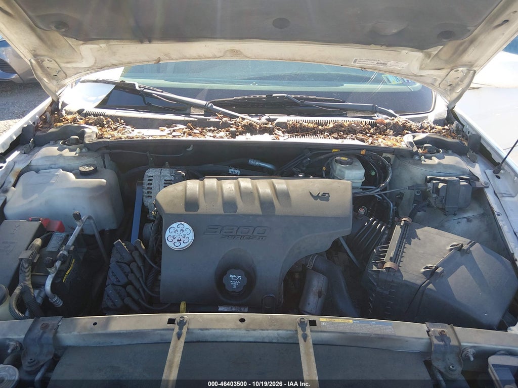 2003 Buick Lesabre Custom photo 10